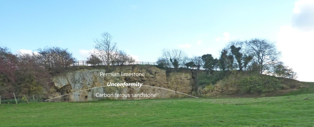 Fig 2 Permo-Carboniferous Unconformity. Newsome Bridge, Nr Wetherby
