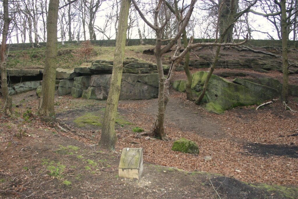 Fig 42 A small quarry in Millstone Grit Group, Rough Rock gritstones. Roundhay Park