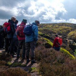 Backstone Beck, Ilkley Moor