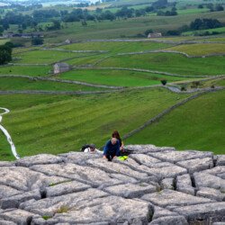 Close inspection of the limestone pavement above Malham Cove