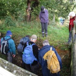 Cambrian, Ordovician and Carboniferous rocks faulted together in Martley trench