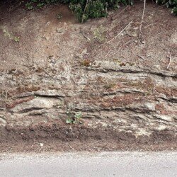 2021 - East Leeds. Stromatolite domes in the Cadeby Formation, Aberford