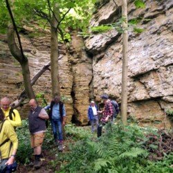 2021 - East Leeds. Cadeby Formation, Pinfold Quarry, Aberford