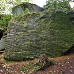 2021 - Otley Chevin. Cross bedding in Doubler Stones Sandstone