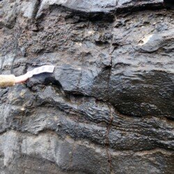 2021 - Residential. Great Limestone Chaetetes band at Nenthead Mine